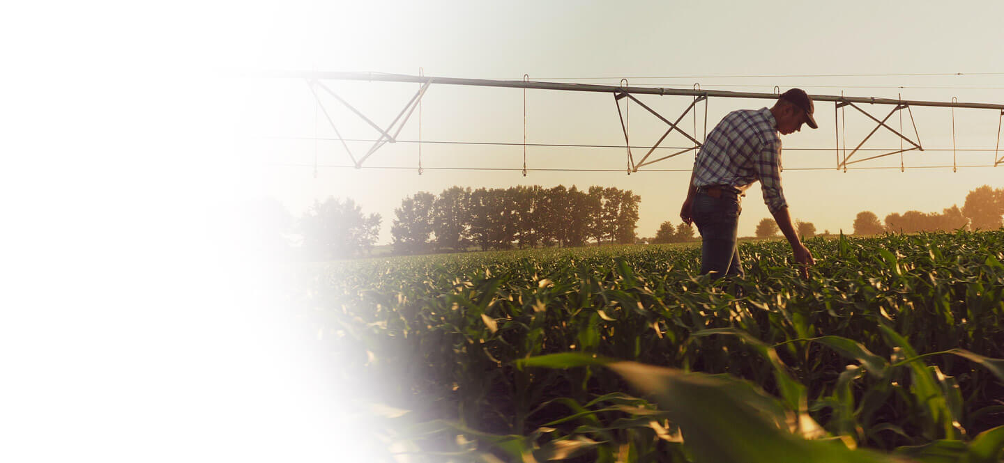 Farm Safety Hero Image