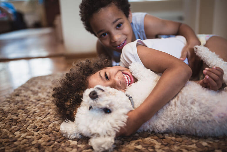 Two kids rolling on their carpet with their white small dog