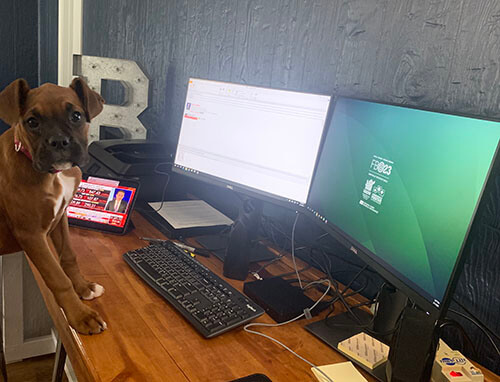 Bull dog with his paws on a desk that has two computer monitors on it