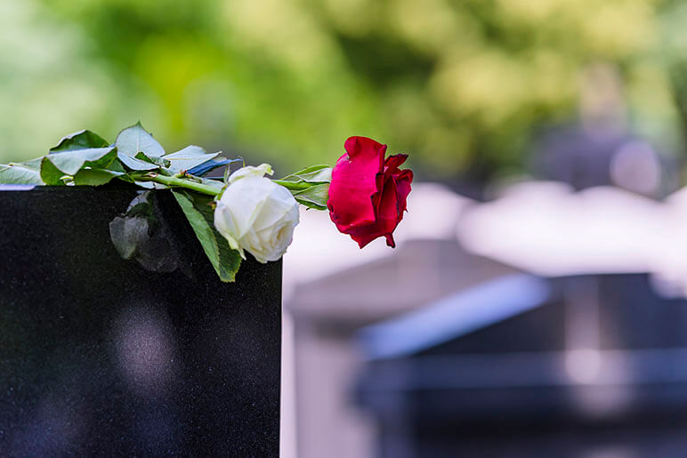 Image of a red and white rose laid on top of a tombstone at a graveyard