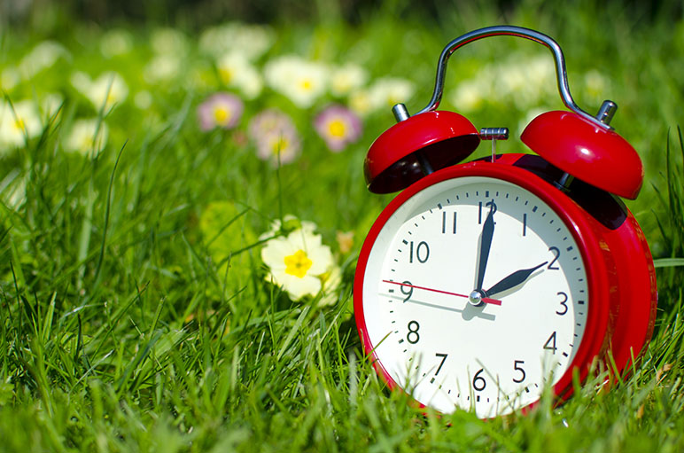 Photo of a clock in a field of grass and flowers