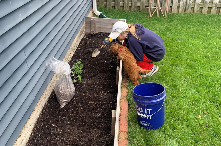Samantha Andersen planting in her garden with her puppy by her side