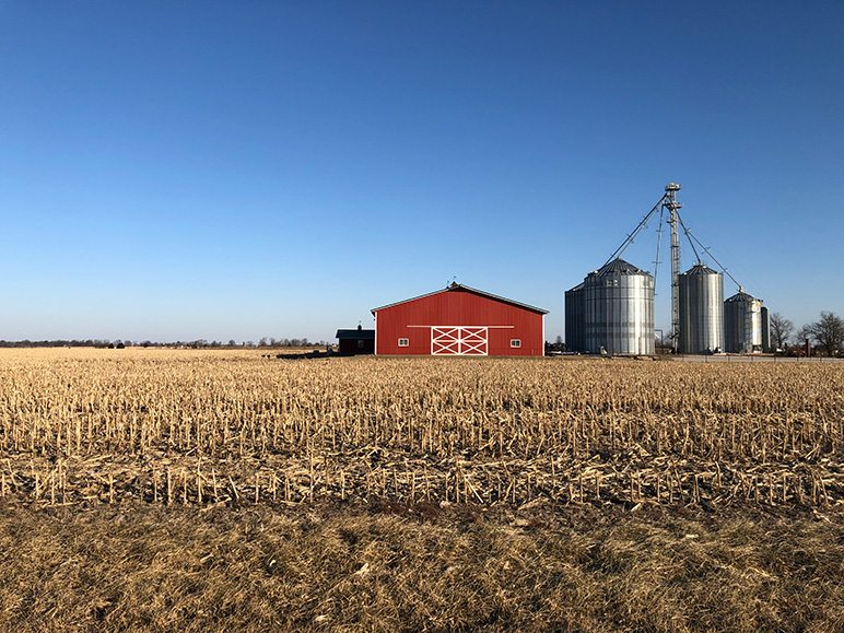 Strategies to save on insurance byline web size