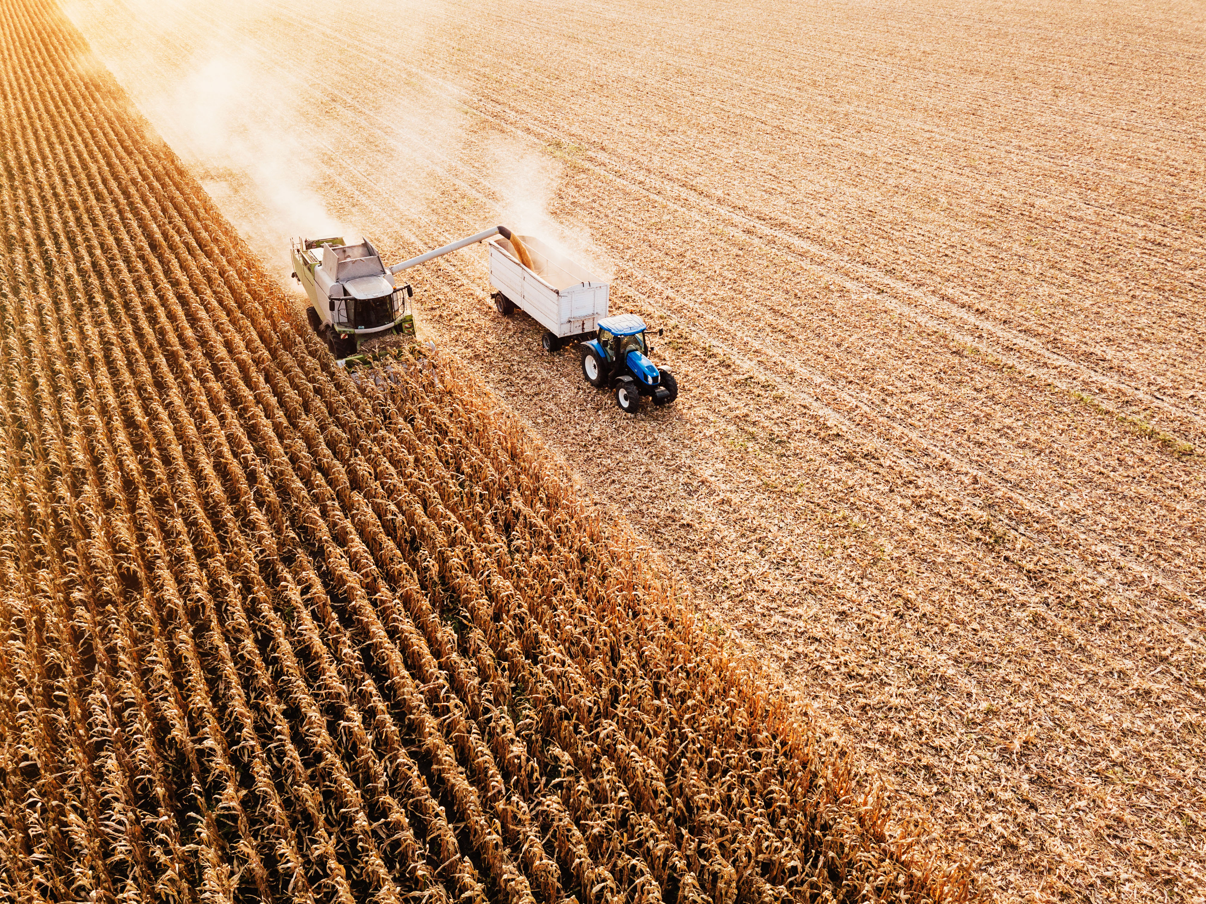 Top 5 harvest safety tips this season