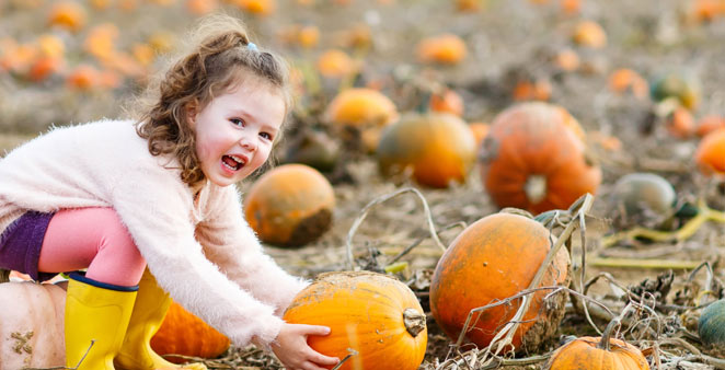 Little-girl-in-pumpkin-patch