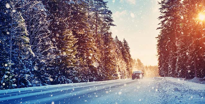 PROTECT YOUR CAR FROM THE WINTER