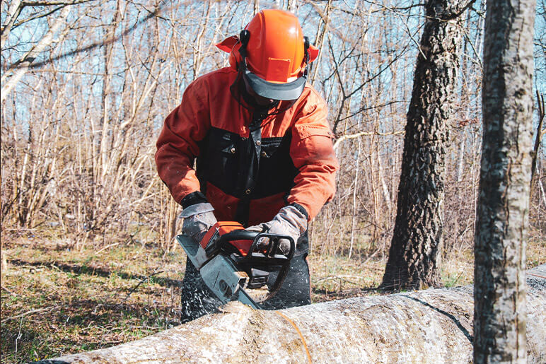 chainsaw-safety