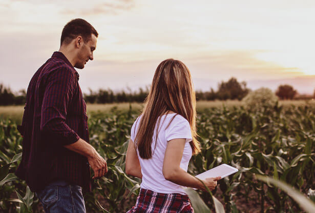 crop hail protection