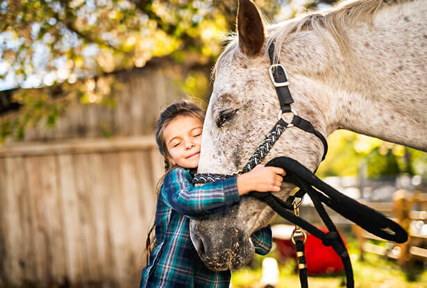 Farm Equine Insurance