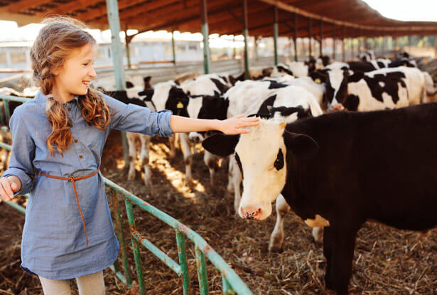 Farm Emergency Preparedness