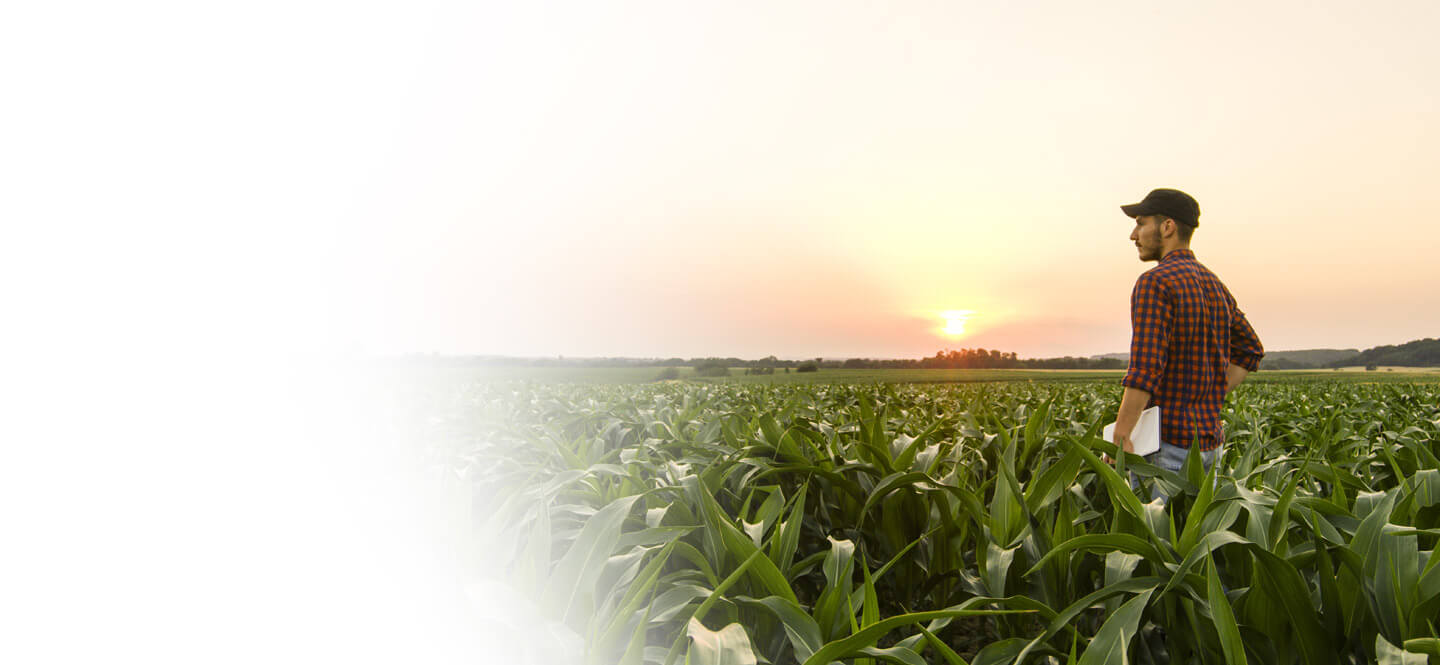 farm insurance california