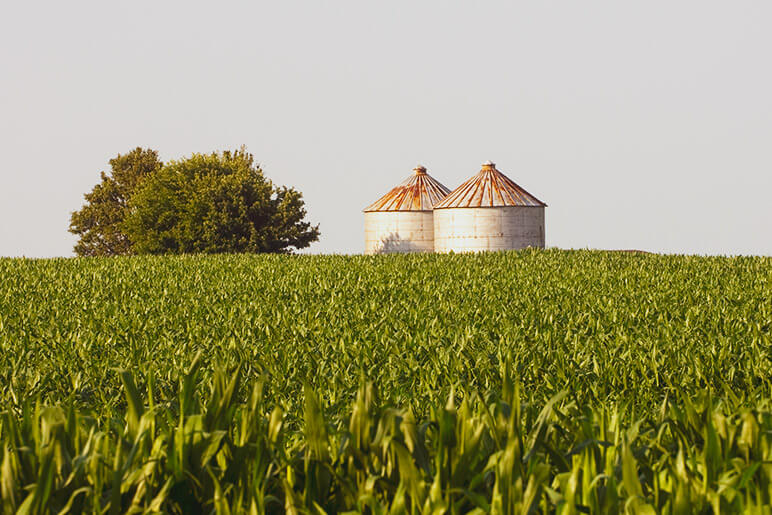 grain-bins