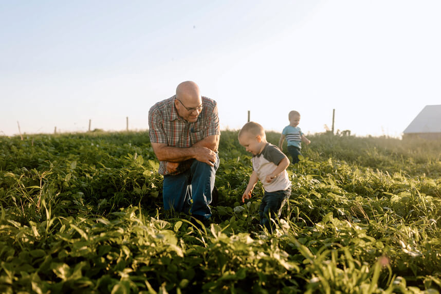 Farmer checking his crops