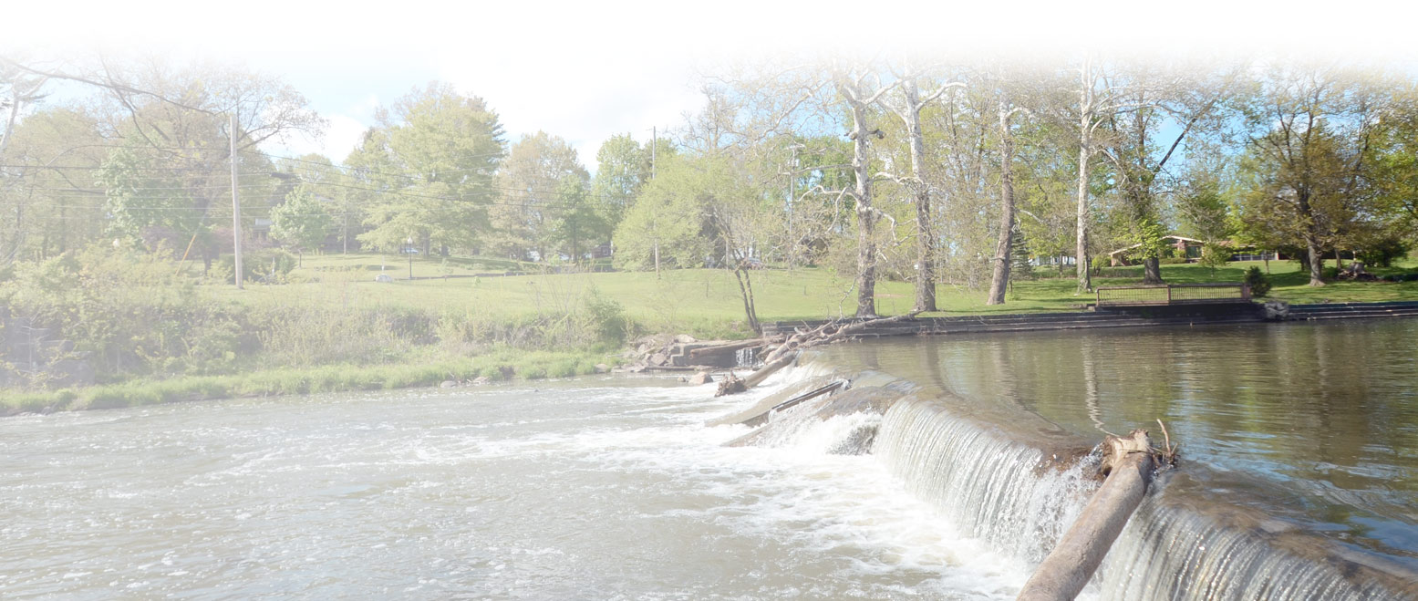 River water in the woods and green trees