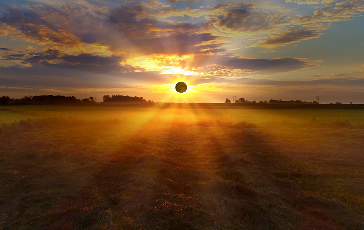 a total solar eclipse from across a field